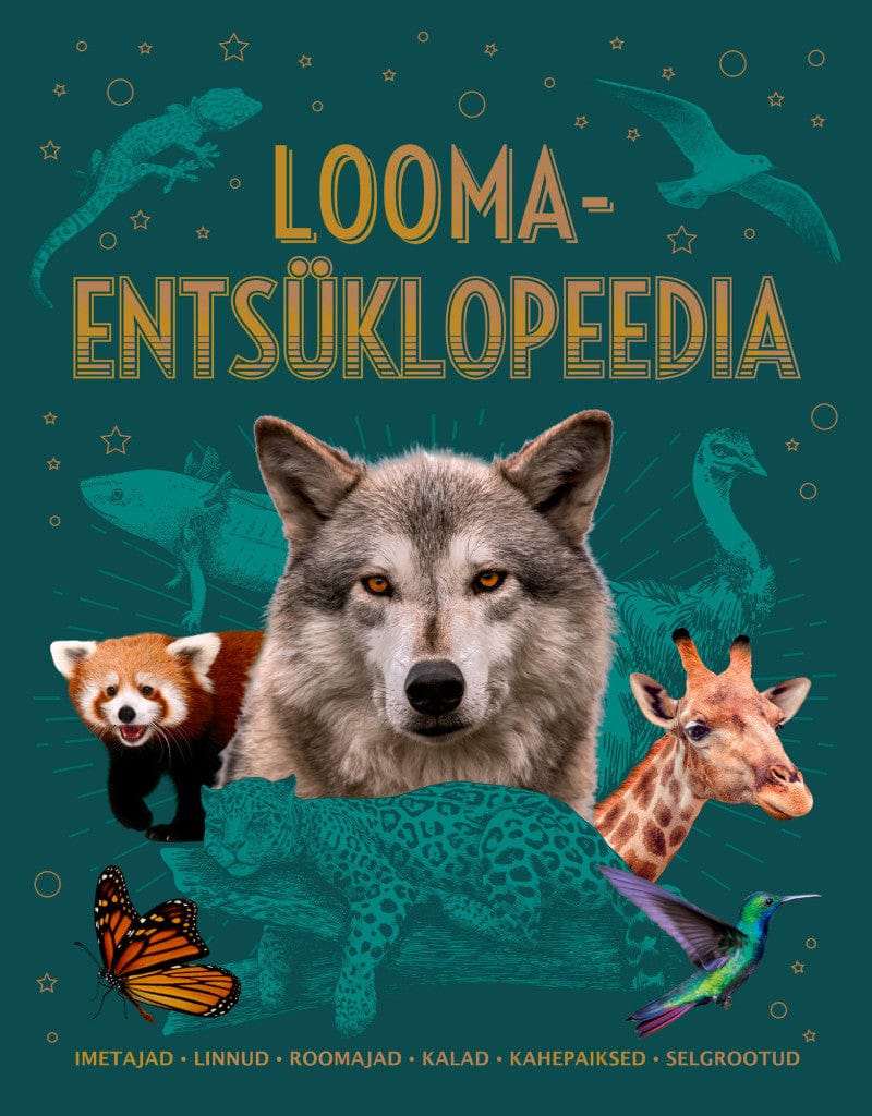 Villem Loomaentsüklopeedia Koolibri