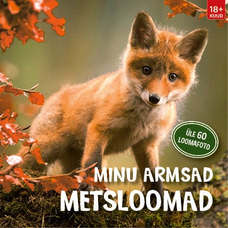 Villem Minu armsad metsloomad Koolibri