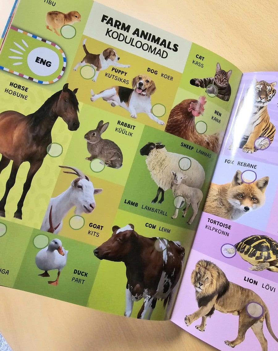 Villem Nutikas sõnastik. Kool on cool - kakskeelne heliraamat! EST/ENG Koolibri