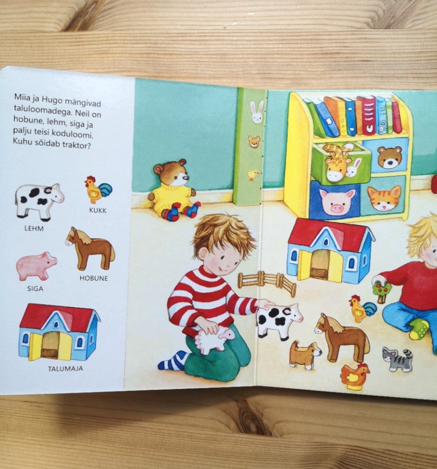 Villem Otsi ja uudista. Meil kodus Koolibri