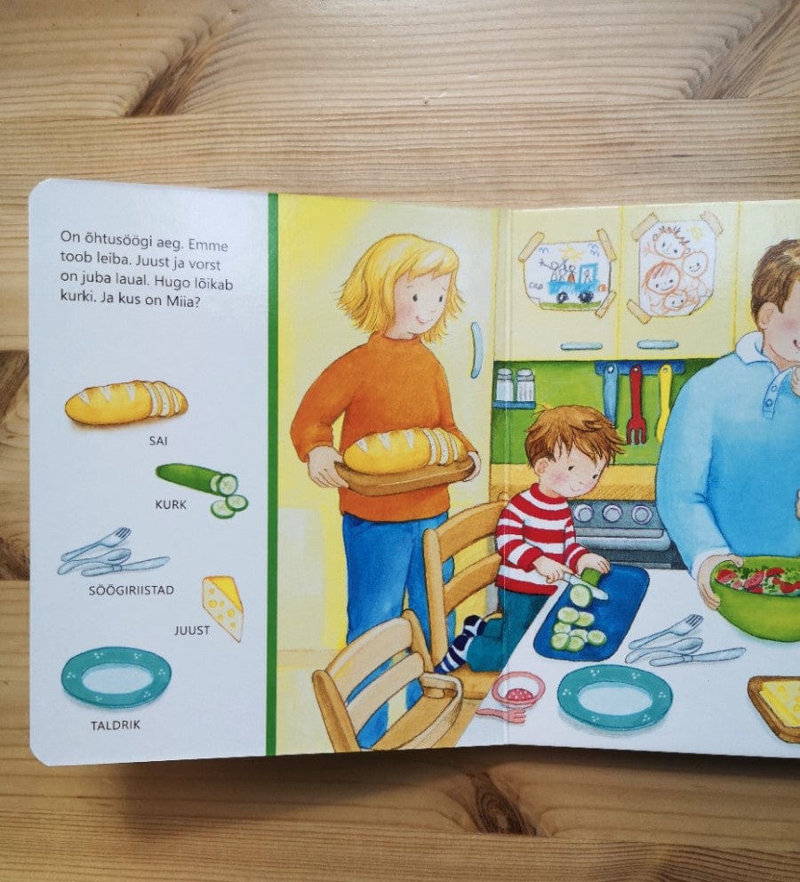 Villem Otsi ja uudista. Meil kodus Koolibri