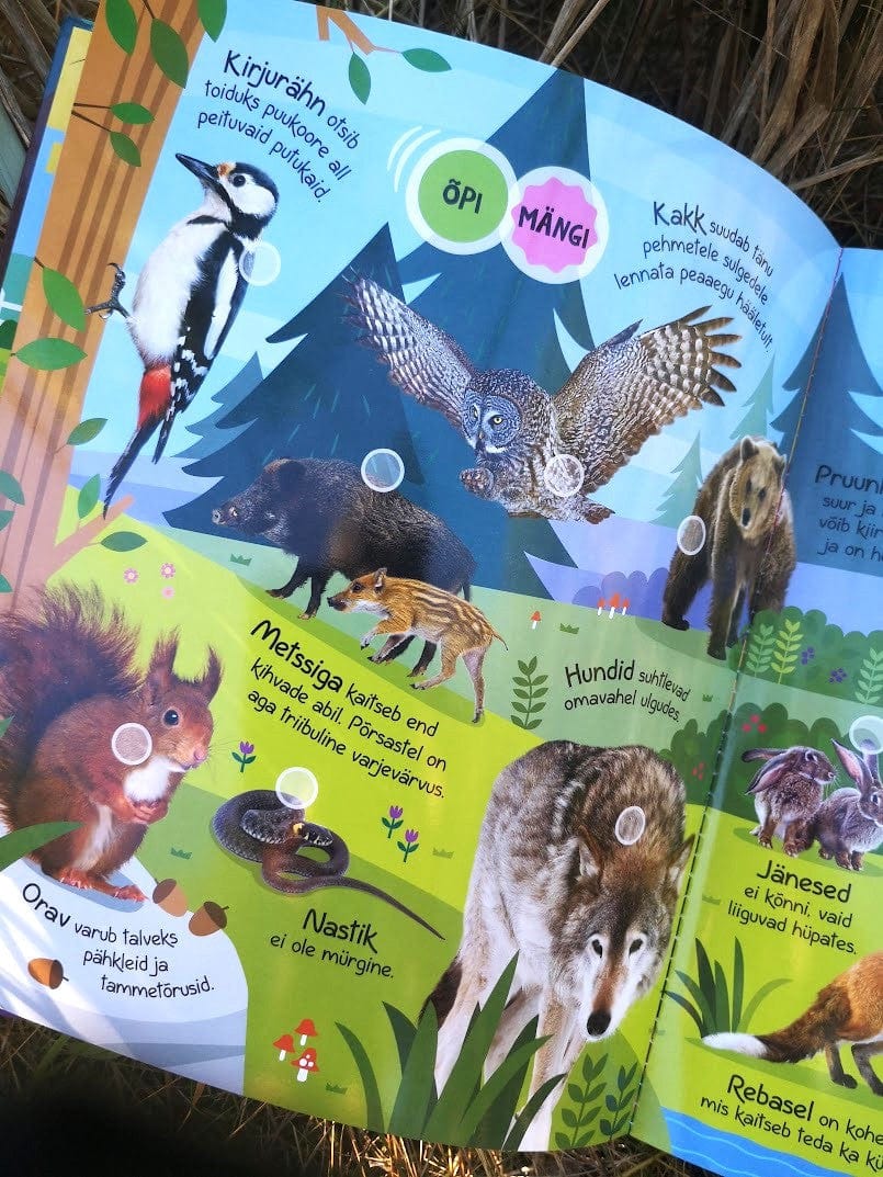 Villem Tahan teada. Loomad Koolibri