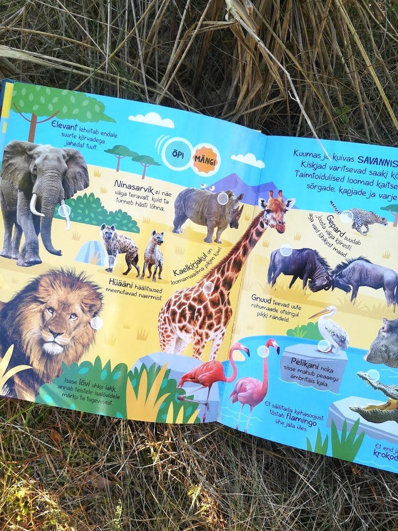 Villem Tahan teada. Loomad Koolibri