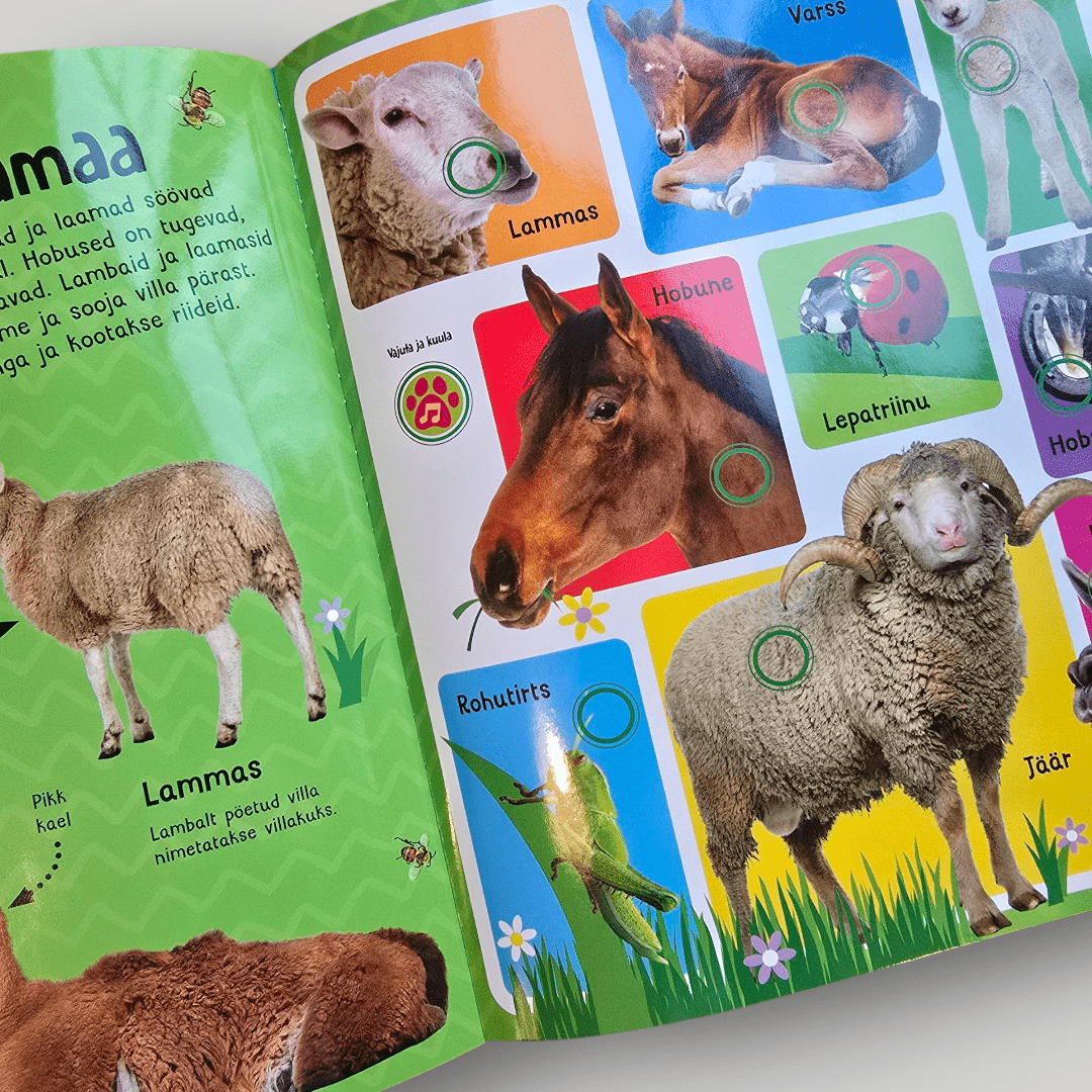 Villem Taluhääled. Vajuta ja kuula! Koolibri