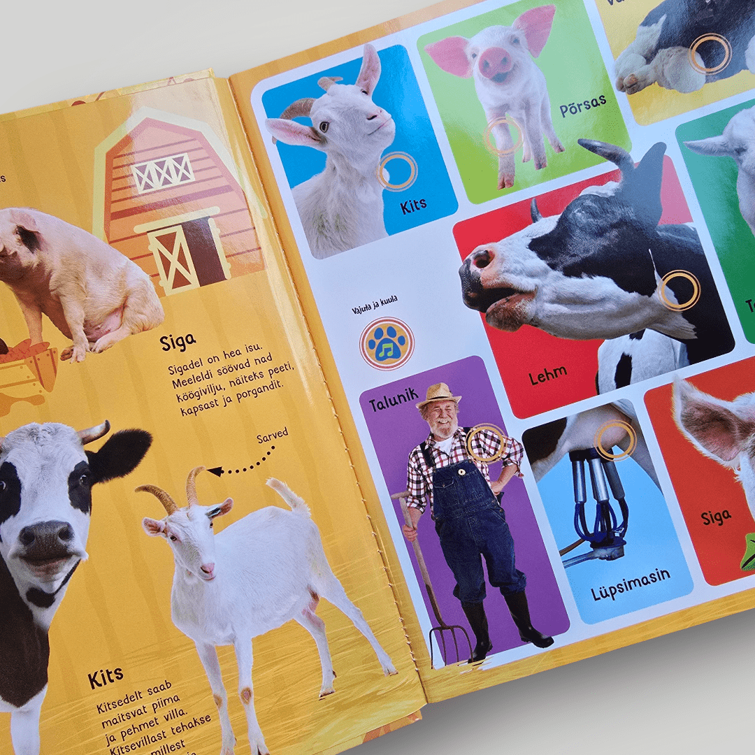 Villem Taluhääled. Vajuta ja kuula! Koolibri