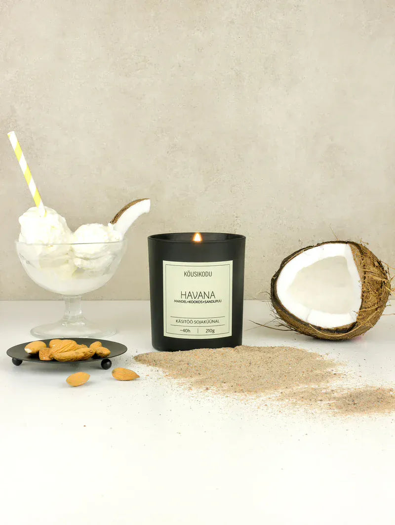 Villem Köusikodu sojaküünal “Havana" Köusikodu