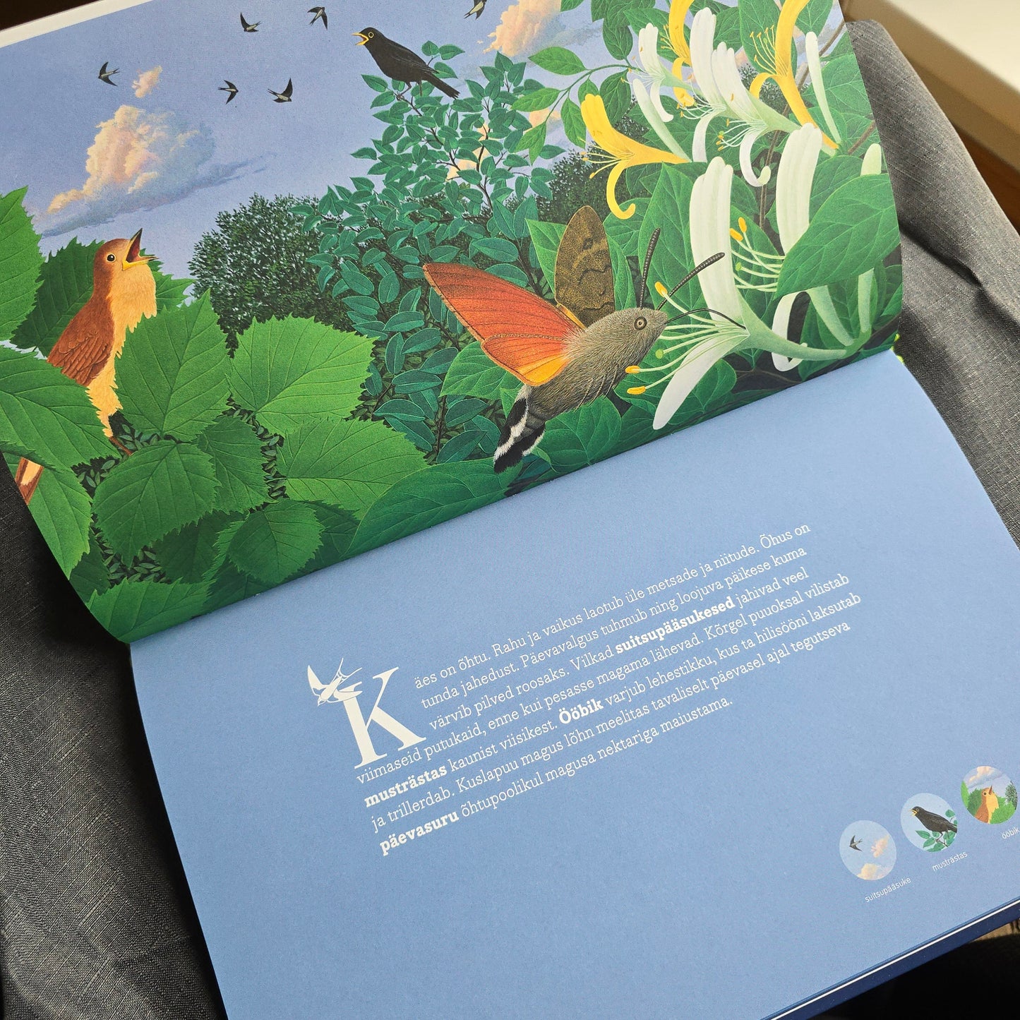 Villem Loomad öös - suur raamat! LÕPUMÜÜK