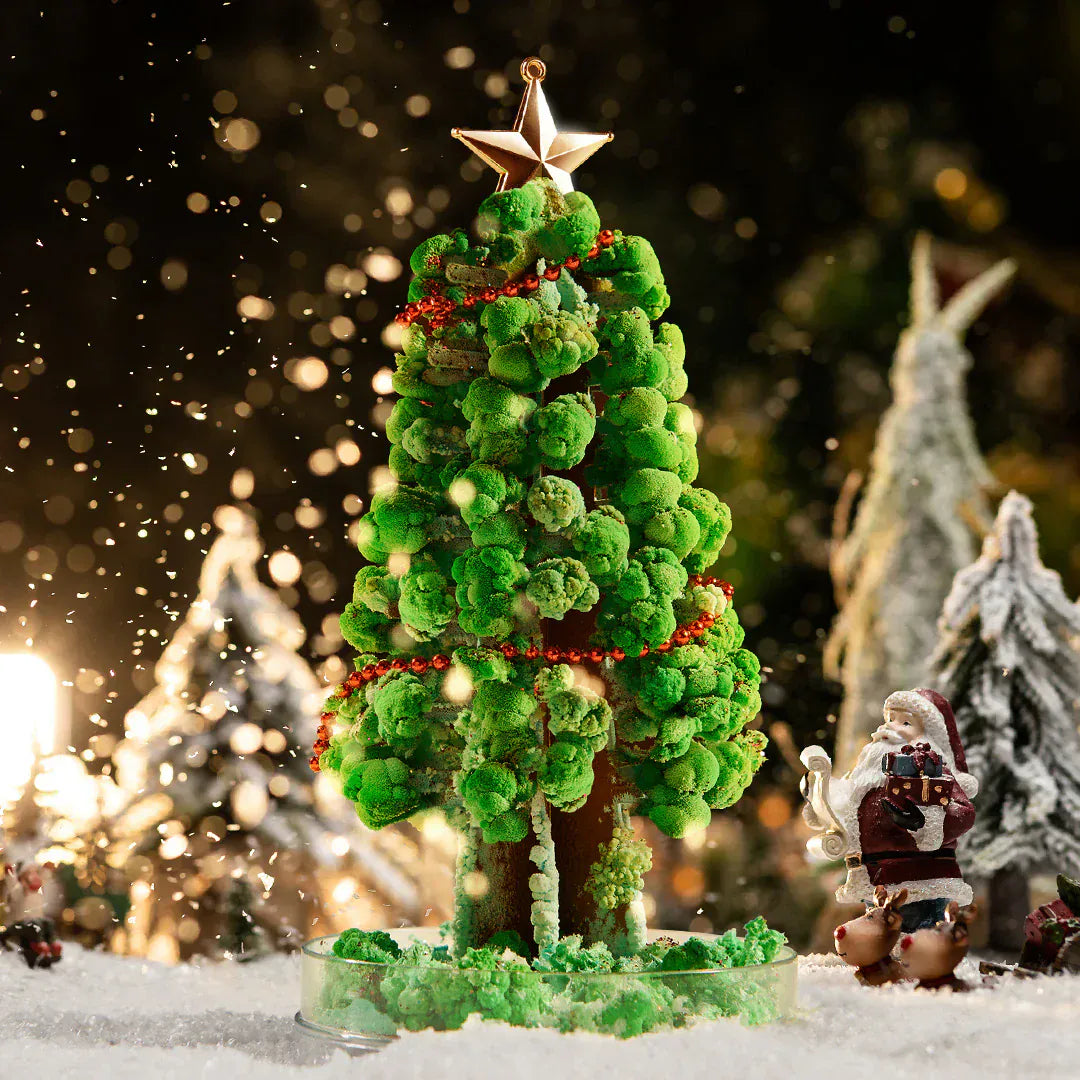 Villem MIDEER  loovkomplekt Maagiline kuusk Mideer