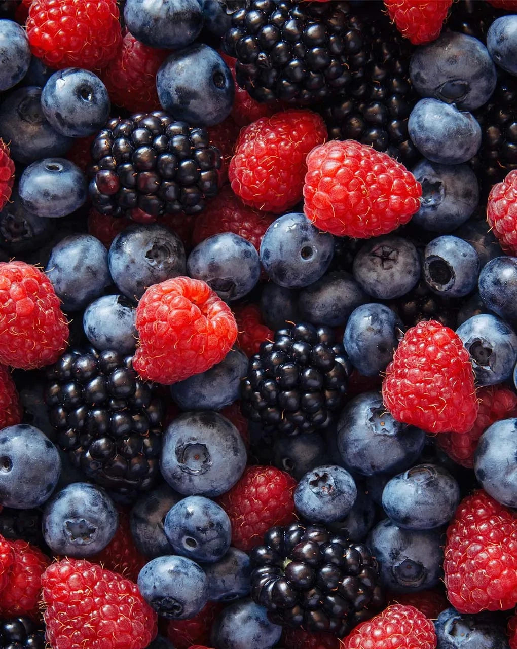 Villem OH LA LAQUA mõrkjas Metsamari 10 tk OH LA LAQUA