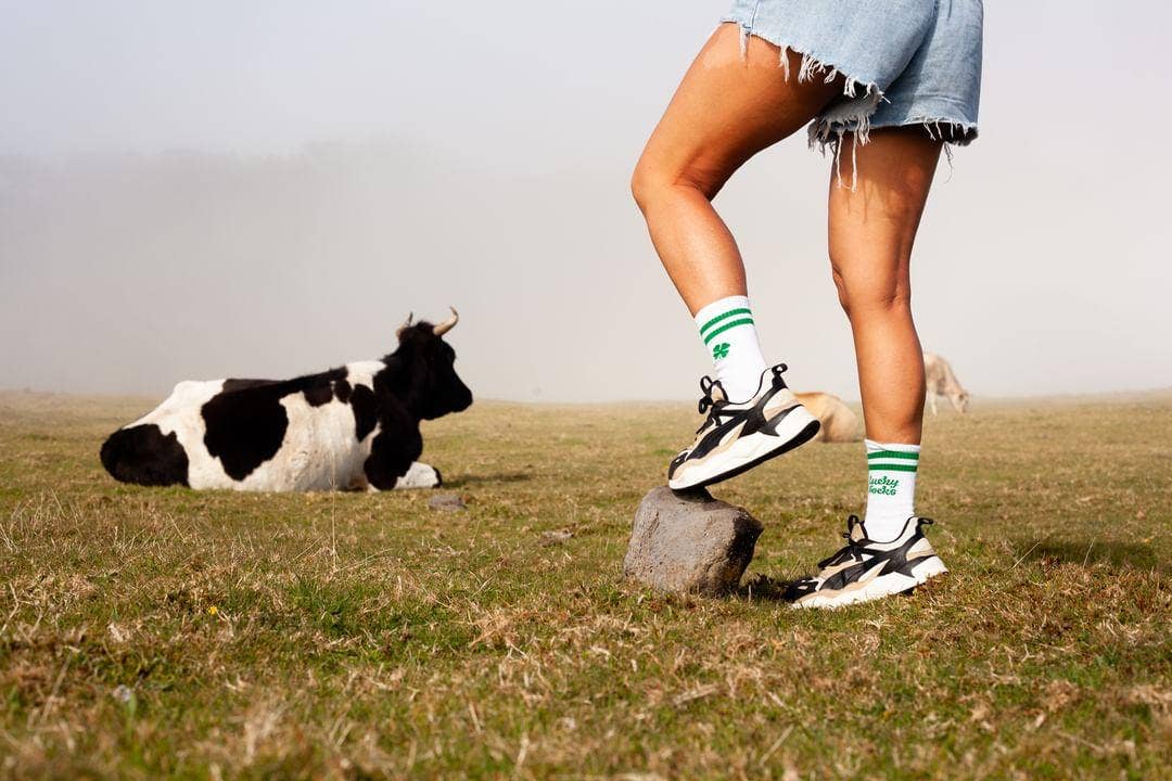 Villem Pehmed spordisokid LUCKY SOCKS PEGADA SOCKS