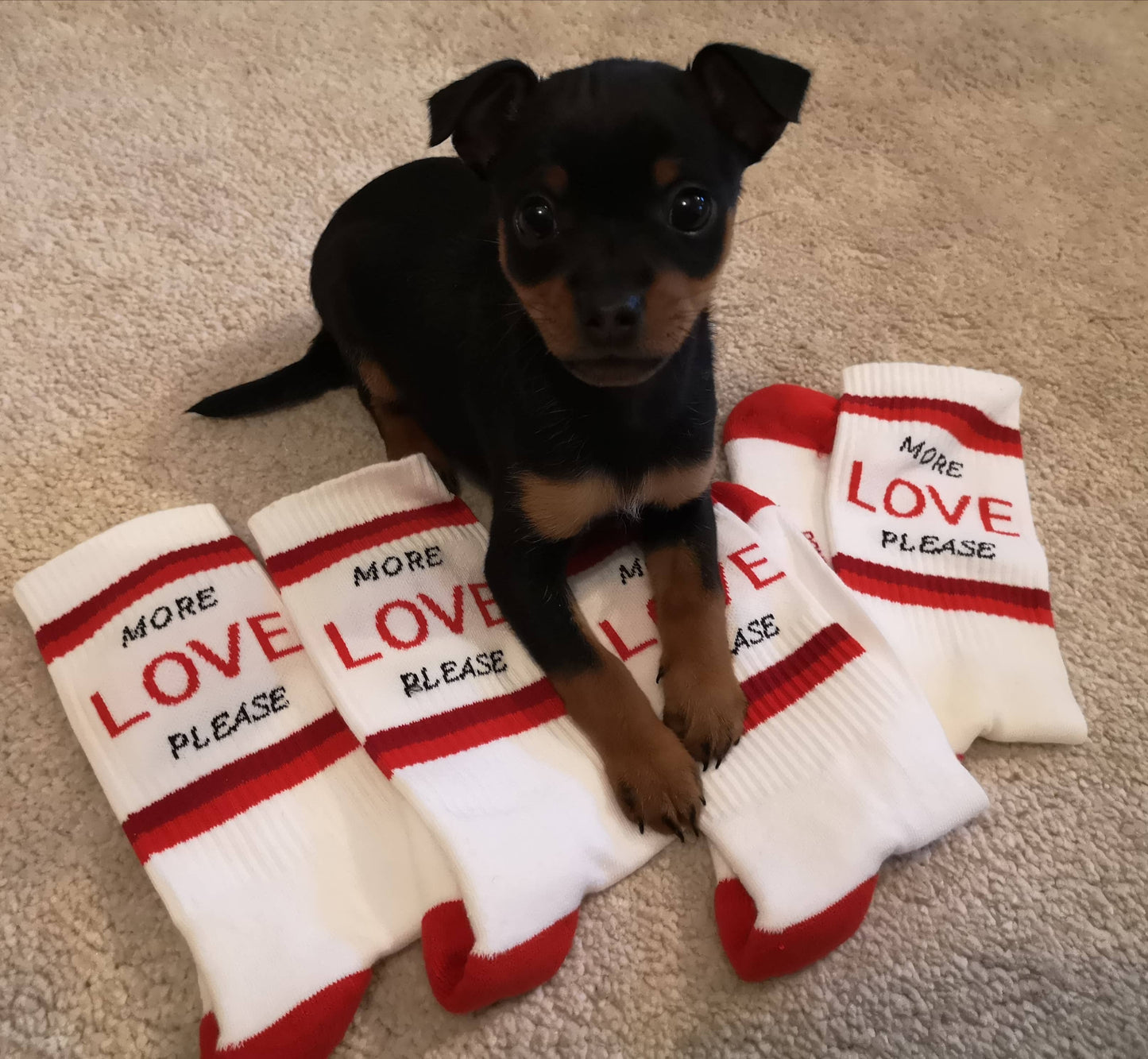 Villem Pehmed spordisokid MORE LOVE PLEASE PEGADA SOCKS