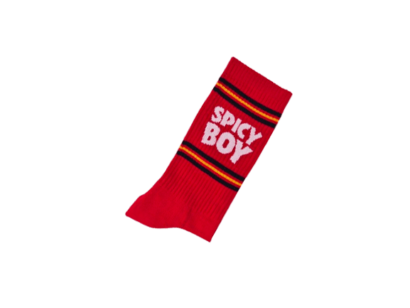 Villem Pehmed spordisokid SPICY BOY SOCKS PEGADA SOCKS