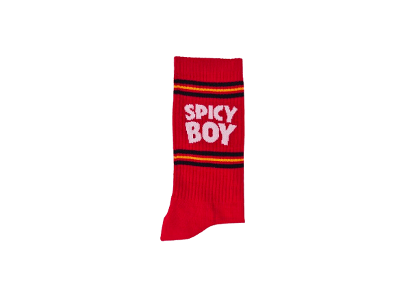 Villem Pehmed spordisokid SPICY BOY SOCKS PEGADA SOCKS