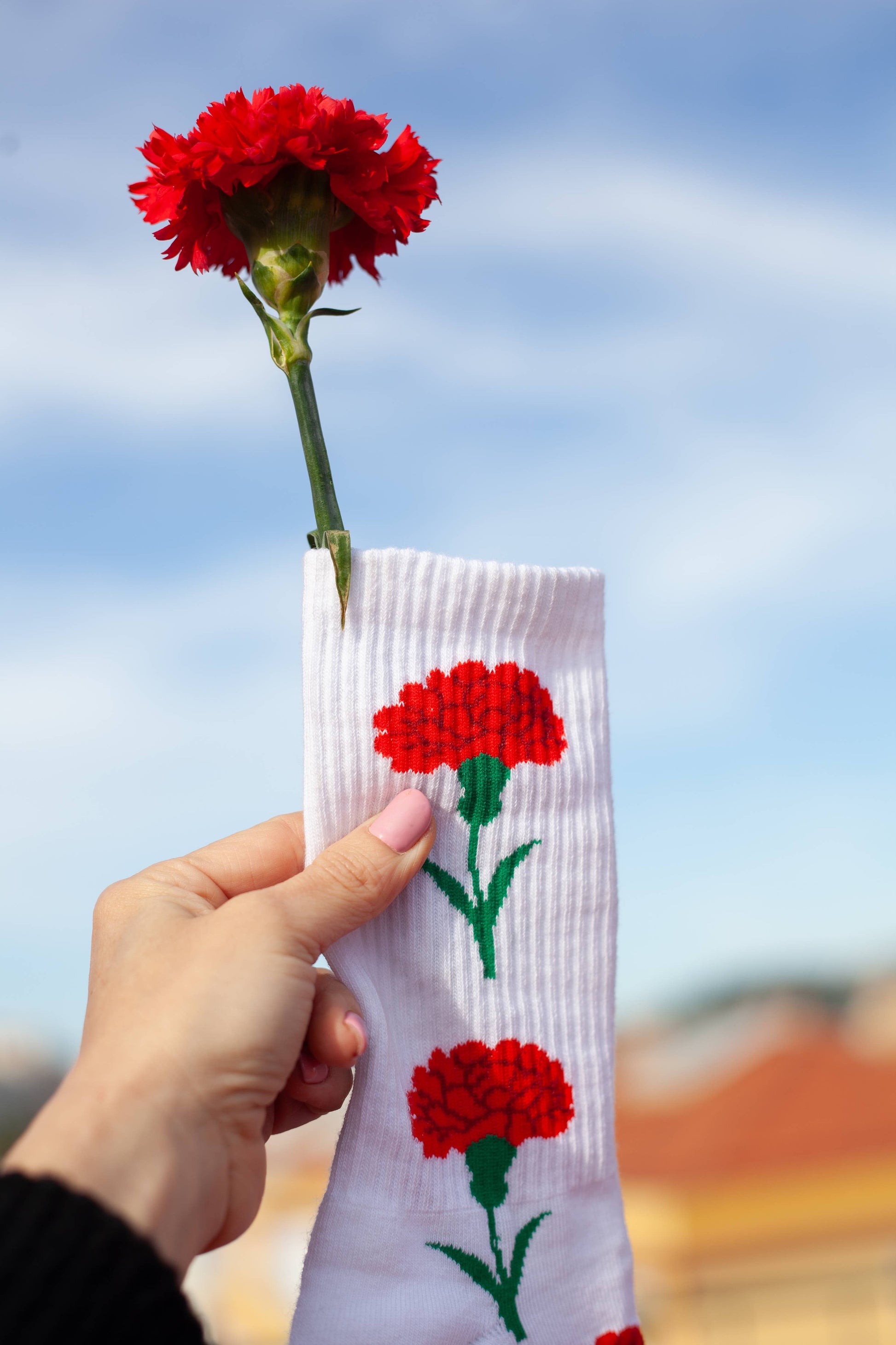 Villem Pehmed unisex spordisokid FREEDOM PEGADA SOCKS