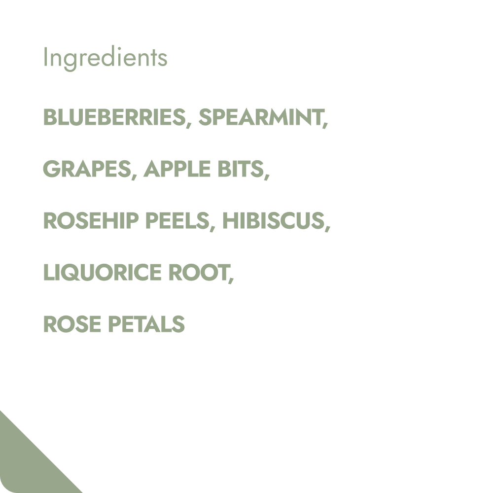 Villem BLUEBERRY MINT TEABREWER The Brew Company