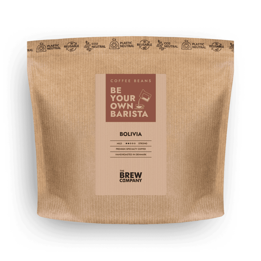 Villem BOLIVIA COFFEE BEANS The Brew Company Whole Beans / 333g (11.75oz)