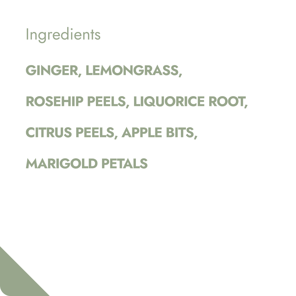 Villem GINGER & LEMON TEABREWER The Brew Company