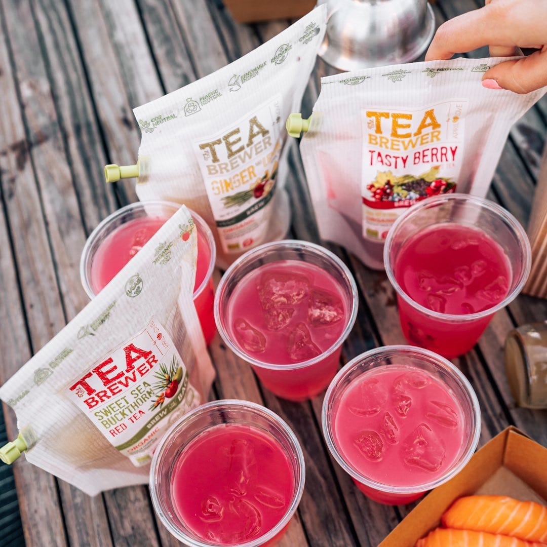 Villem Tea Brewer Blueberry Mint The Brew Company