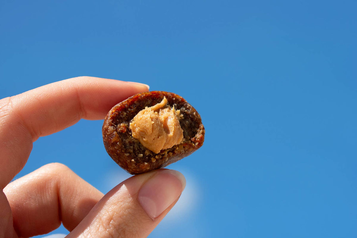 Villem Carrot cake filled energy balls organic + vegan + gluten-free treatfuls