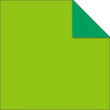 Villem Origami paberite komplekt 15 × 15 cm, 100 lehte, kahepoolsete värvidega “Intensive” URSUS®