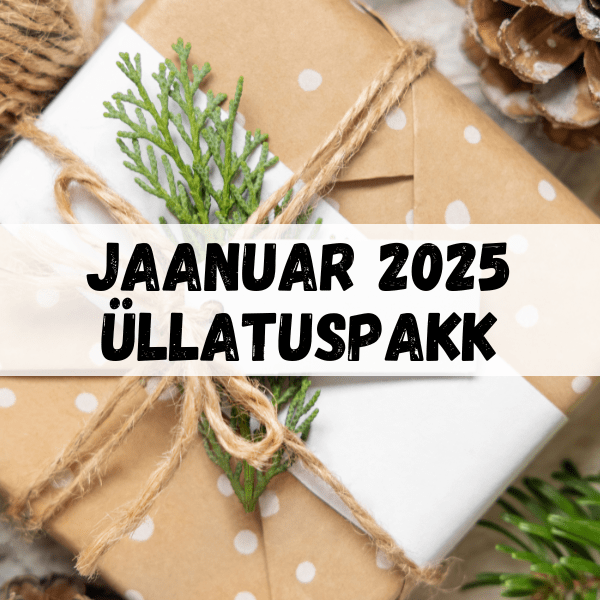 Villem Jaanuar 2025 Üllatuspakk Villemist Villem.ee 